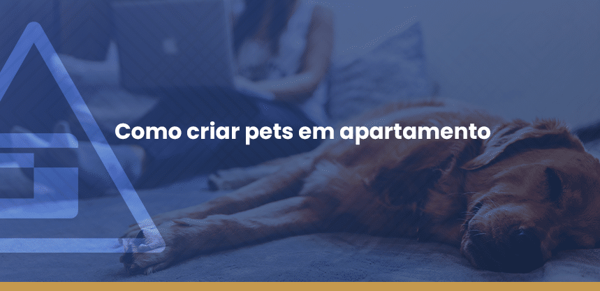 pets em apartamento