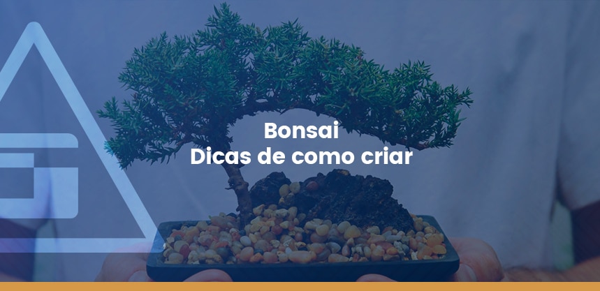 Bonsai