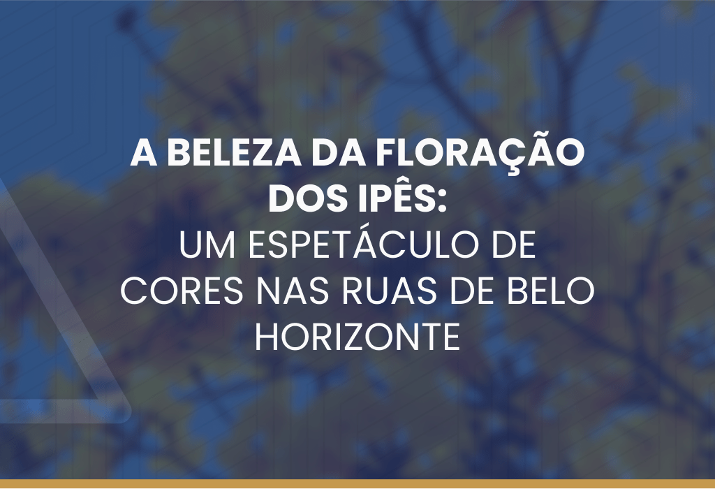 ipês